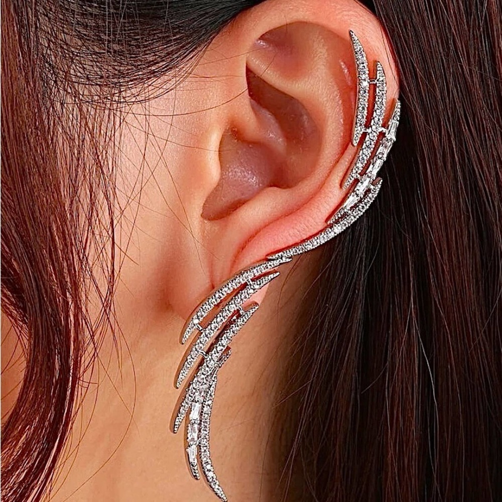 Silver Cubic Zircon Ear Climber Earrings - Picture 1 of 8